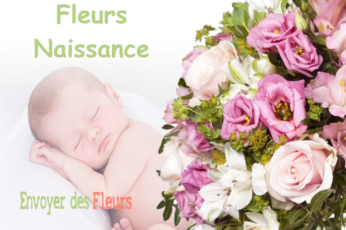 lIVRAISON FLEURS NAISSANCE à ROQUEVAIRE